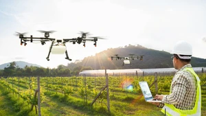 Utilisation de drones pour pulvériser des produits phytosanitaires. Photo : VGP.