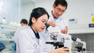Les ressources humaines scientifiques et technologiques, leviers du développement national du Vietnam