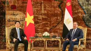Le président vietnamien Luong Cuong (à gauche) et son homologue égyptien Abdel Fattah El-Sisi. Photo : NDEL.