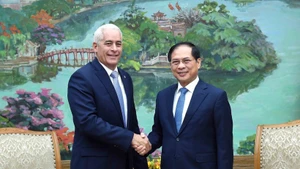 Le vice-Premier ministre et ministre des Affaires étrangères Bui Thanh Son (droite) reçoit à Hanoï Gerardo Peñalver Portal, premier vice-ministre des Affaires étrangères de Cuba. Photo : VNA.
