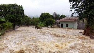 La circulation résiduelle du typhon Wipha a provoqué de très fortes pluies dans les zones montagneuses de l’ouest de la province de Nghe An. Photo : VGP.