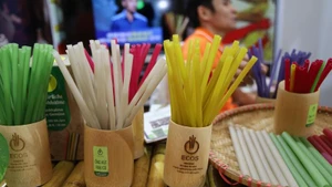 Des pailles écologiques vietnamiennes séduisent le marché international
