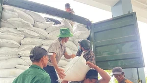 Le riz d’aide humanitaire est acheminé vers les localités gravement touchées par les inondations. Photo : VNA.