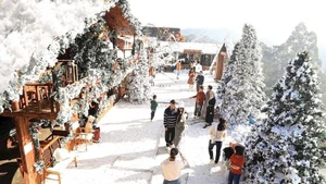 Da Lat se pare des couleurs chatoyantes de Noël en cette fin d'année. Photo : Baodautu.