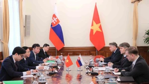 Panorama de la consultation politique Vietnam-Slovaquie. Photo : VNA.