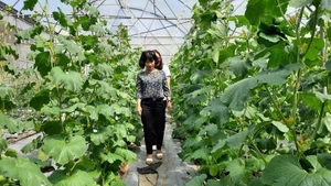 Modèle de culture de melon cantaloup en haute technologie présenté au Parc agricole high-tech de Ho Chi Minh-Ville. Photo : Cao Tan.