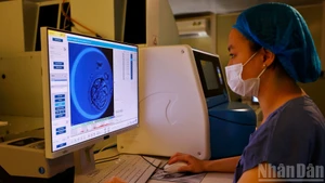 Fécondation in vitro, là où naissent les espoirs