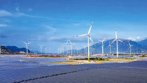 Les relations de coopération entre le Vietnam et Singapour ne cessent de se développer. Sur la photo : projet d’énergie éolienne et solaire au Vietnam du groupe Sembcorp (Singapour). Photo : Le Toan.