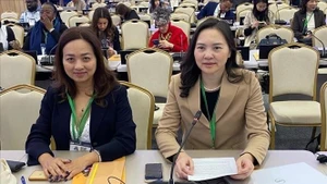 Nguyen Thi Van Anh, ambassadrice, cheffe de la Délégation permanente du Vietnam auprès de l’UNESCO ors de la 43ᵉ session de l’UNESCO. Photo : VNA.