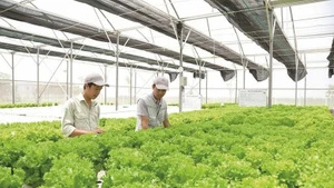 Photo d'illustration : VNA.