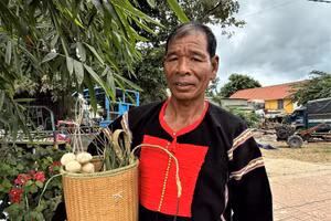 L’artisan Y Bắp Nhơm explique comment préparer le ferment traditionnel du rượu cần à partir de feuilles et de racines de plantes forestières. Photo :Photo : vietnamnet.vn