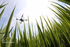 Le secteur agricole vietnamien connaît actuellement une transformation profonde vers un modèle de croissance verte. Photo : VNA.