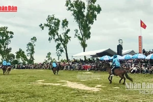 Festival de courses hippiques de Go Thi Thung au printemps 2026 à Dak Lak