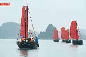 Expérience de voiliers à trois parois dans la baie d’Ha Long