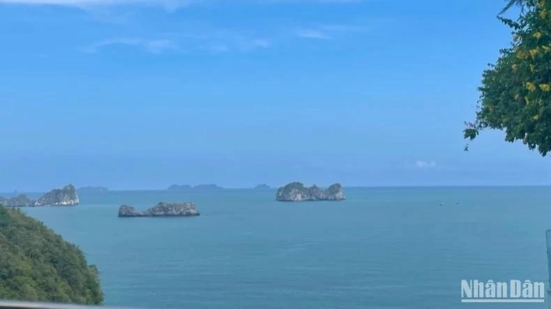Ces dernières années, le Vietnam a enregistré des progrès significatifs dans la protection de l’environnement marin, en s’appuyant sur la science et la technologie pour construire une économie bleue durable. Photo : NDEL.