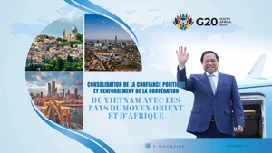 Consolidation de la confiance politique et renforcement de la coopération du Vietnam avec les pays du Moyen-Orient et d’Afrique