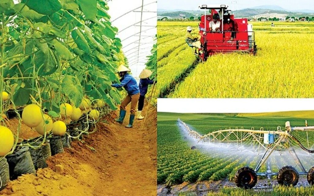 Un nouveau moteur pour le développement de l’agriculture du Vietnam 