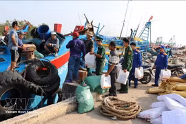 Dans la province de Dong Thap, les gardes-frontières sensibilisent les pêcheurs du port de pêche de Vam Lang, commune de Gia Thuan, à la prévention et à la lutte contre la pêche INN. Photo : VNA. 