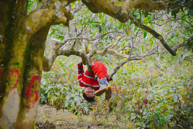 Les plus belles images ne sont visibles que dans les zones montagneuses ảnh 6