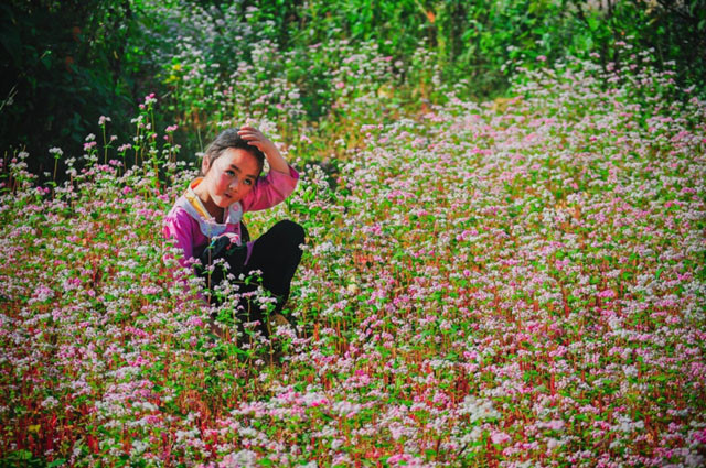 Les plus belles images ne sont visibles que dans les zones montagneuses ảnh 7