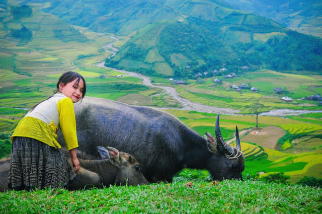 Les plus belles images ne sont visibles que dans les zones montagneuses ảnh 8