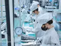Production de la société Bumjim Electronics Vina Co., Ltd., à capitaux 100 % sud-coréens, dans la province de Quang Ninh. Photo : VNA. 