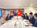 Lors de l'entretien entre le ministre vietnamien de l’Industrie et du Commerce, Lê Manh Hung et le ministre néo-zélandais du Commerce et de l’Investissement, Todd McClay. Photo : VNA. 