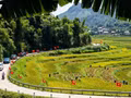 Pu Luong, entre rizières dorées et villages paisibles