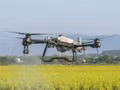 Un drone est utilisé pour pulvériser des produits phytosanitaires sur une rizière lors d'une démonstration organisée par AgriDrone Vietnam. (Photo : AgriDrone Vietnam) 