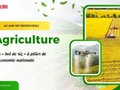 L’agriculture vietnamienne après 40 ans de Renouveau : du « bol de riz » à pilier de l’économie nationale