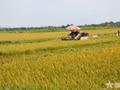 Réduire les émissions de gaz à effet de serre dans l'agriculture.