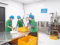 De nombreuses entreprises ont investi dans la science, la technologie et l'innovation afin de développer des modèles de production propres et sûrs. Photo : VNA. 