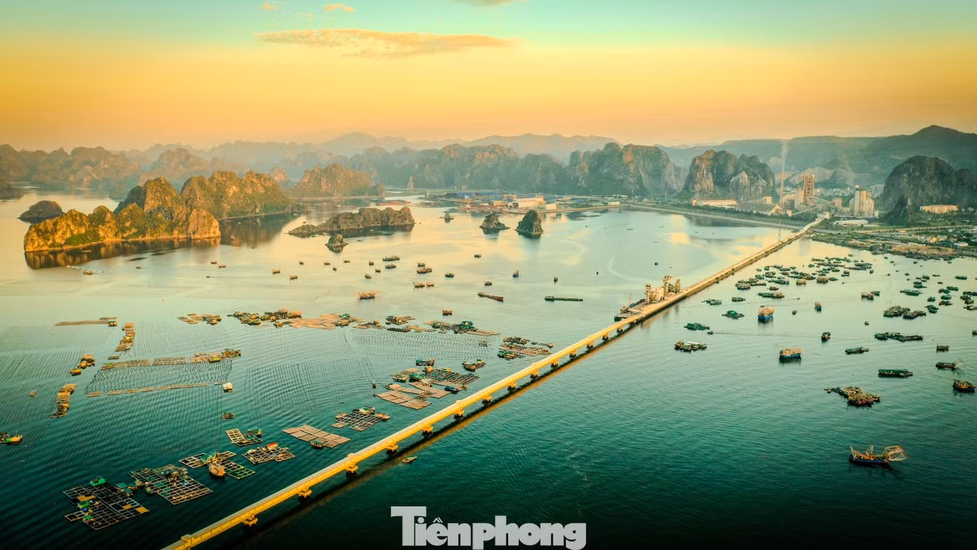 Située au nord-est de la baie de Ha Long, dans la province de Quang Ninh, elle est réputée pour ses paysages préservés, son atmosphère paisible et la richesse de ses écosystèmes. C'est une destination idéale pour pratiquer le kayak, explorer le Parc national de Bai Tu Long et découvrir la culture des anciens villages de pêcheurs, tels que Vung Vieng.