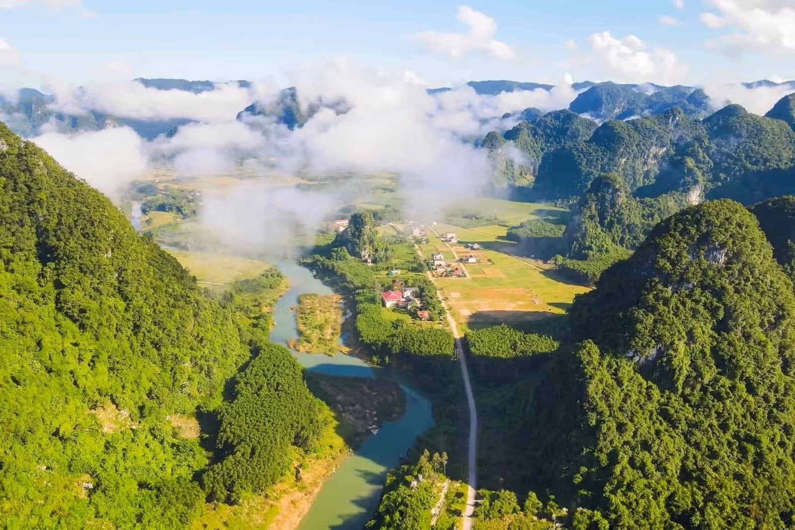 Des efforts pour préserver la verdure de la forêt patrimoniale