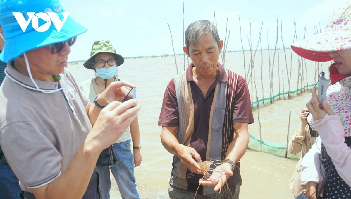 Un modèle de subsistance en saison des crues à Dong Thap aide les habitants à accroître leurs revenus. Photo: VOV mo-hinh-sinh-ke-mua-lu-cua-nguoi-dan-dong-thap-giup-nang-cao-thu-nhap-11zon.jpg