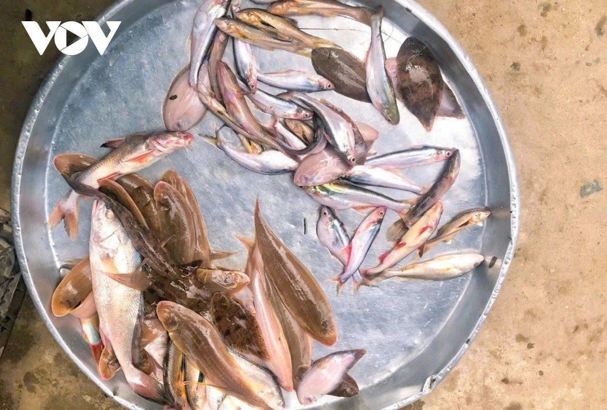 Au marché, une grande variété de poissons et de produits aquatiques sont proposés à la vente, témoignant de la richesse de la nature pendant cette période. 12-11zon.jpg