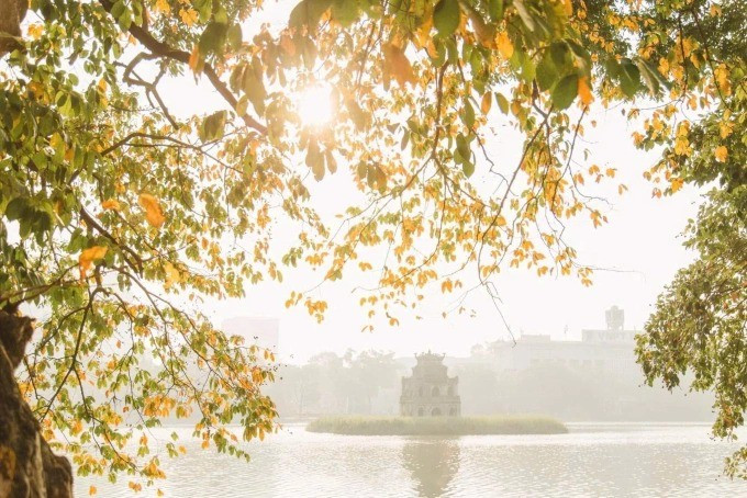 Paysage de feuilles dorées au lac Hoan Kiem début septembre. Photo : Nguyen My Linh.