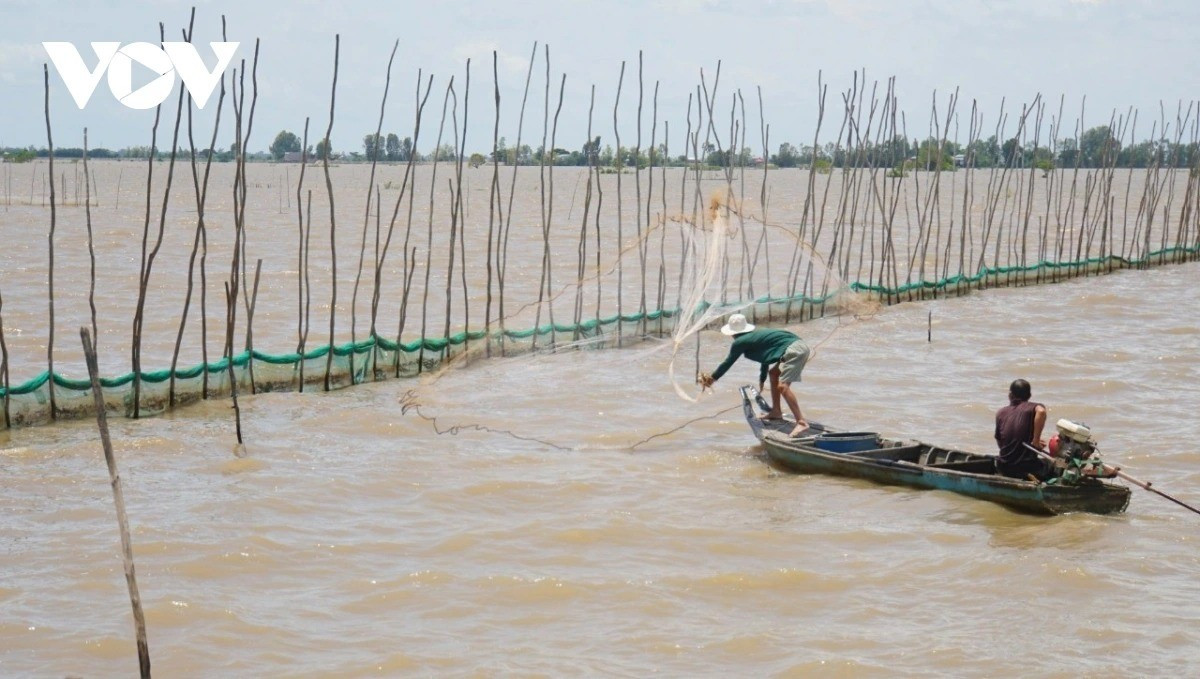La production rizicole dans le delta subit elle aussi les impacts du changement climatique. Photo: VOV du-an-chong-chiu-khi-hau-tong-hop-va-sinh-ke-ben-vung-dbscl-11zon.jpg