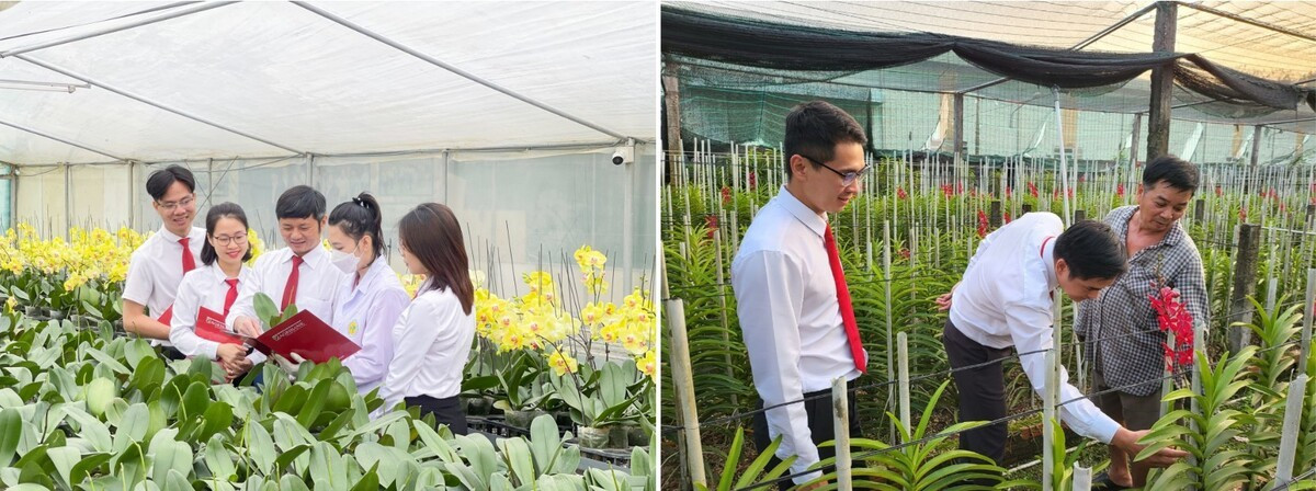 L’Agribank a lancé une enveloppe de 10.000 milliards de dôngs pour soutenir l’agriculture biologique et les énergies renouvelables. Photo: Nhipsongkinhte nn.jpg