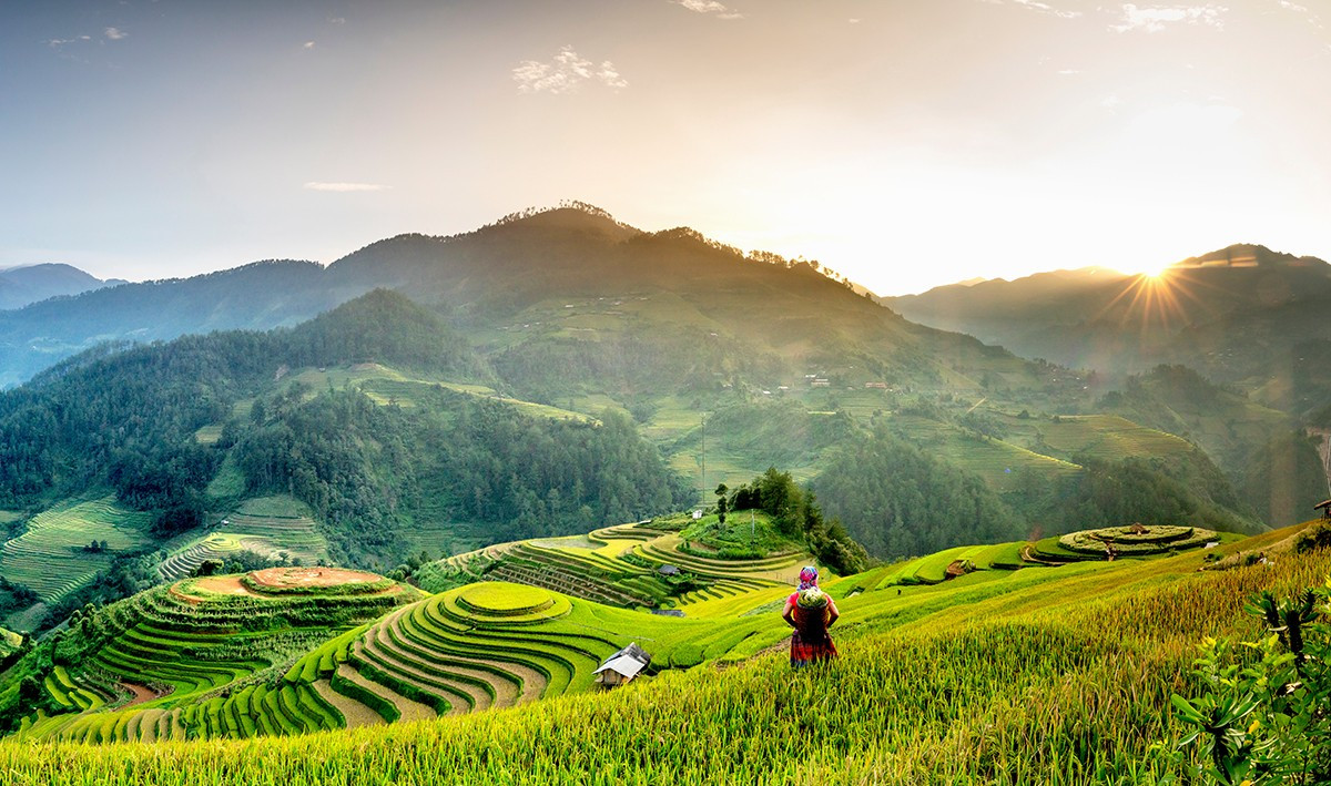 Champs en terrasses de Mu Cang Chai (province de Yen Bai). Photo: Vnexpress mu-cang-chai-resize.jpg