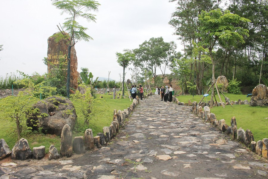Le musée de fossiles à ciel ouvert à la mine de charbon de Na Duong. Photo : CK a3.png