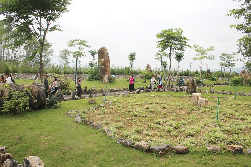 Un musée de fossiles à ciel ouvert dans la mine de charbon de Na Duong. Photo : CK. a1.png