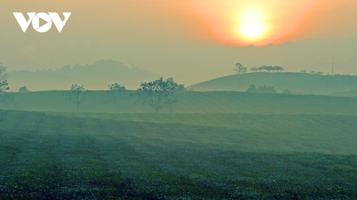 x3-11zon.jpg