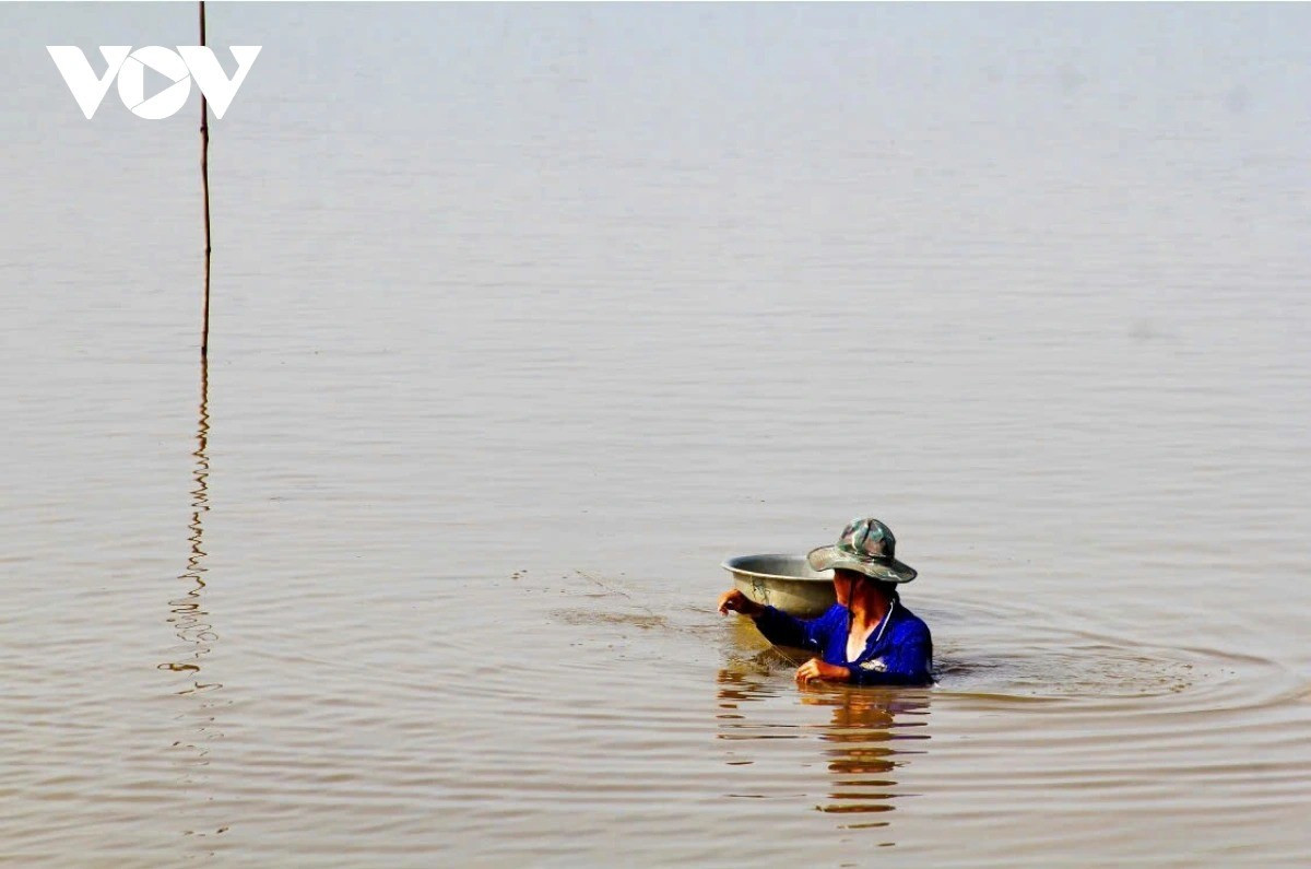 Les populations du delta gagnent leur vie grâce aux ressources naturelles abondantes de la saison. 4-11zon.jpg