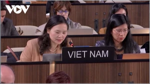 L’ambassadrice Nguyen Thi Van Anh, cheffe de la Mission permanente du Vietnam auprès de l’UNESCO, prononce un discours présentant l’initiative « Décennie internationale de la culture au service du développement durable ». Photo : VOV 