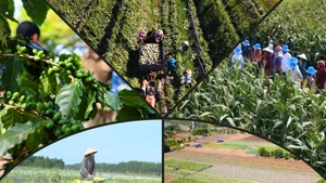 La transition verte : une condition préalable au renforcement de la compétitivité nationale.