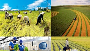 Faire de l'agriculture un pilier essentiel de l'économie nationale