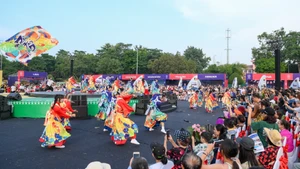 Un numéro artistique lors du premier Festival des cultures du monde, les 11 et 12 octobre à Hanoï. Photo : NDEL