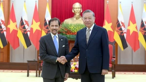 Le secrétaire général du PCV, Tô Lâm (droite), et le sultan de Brunei, Haji Hassanal Bolkiah, en visite d'État au Vietnam. Photo : Dang Khoa/NDEL