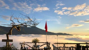 Situé à 2800 mètres d’altitude, Ta Xua, l’un des plus hauts sommets du Vietnam, est affectueusement appelé par les touristes « le paradis des nuages ». Photo: vnexpress.vn